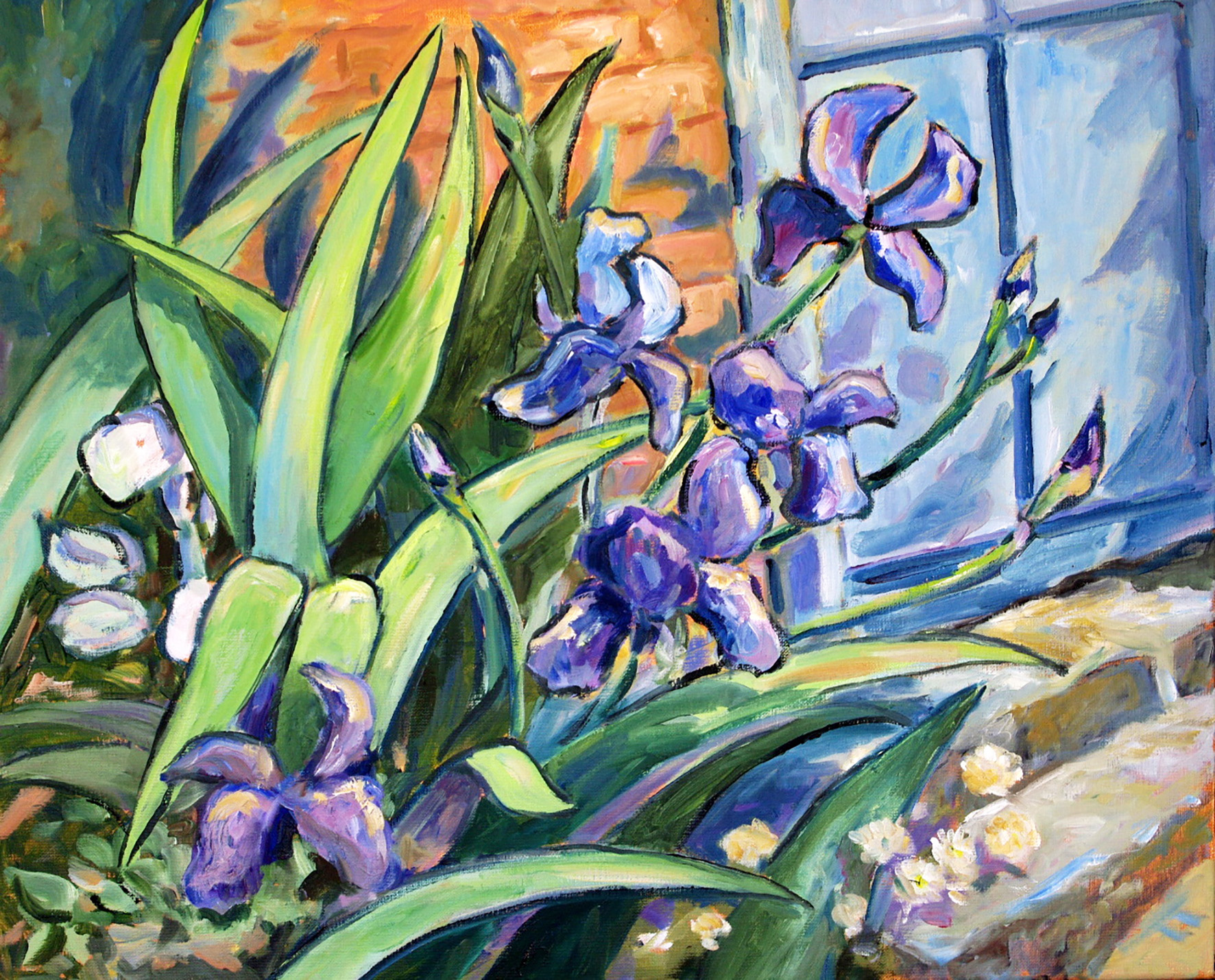 Les iris de Gerberoy 61x50