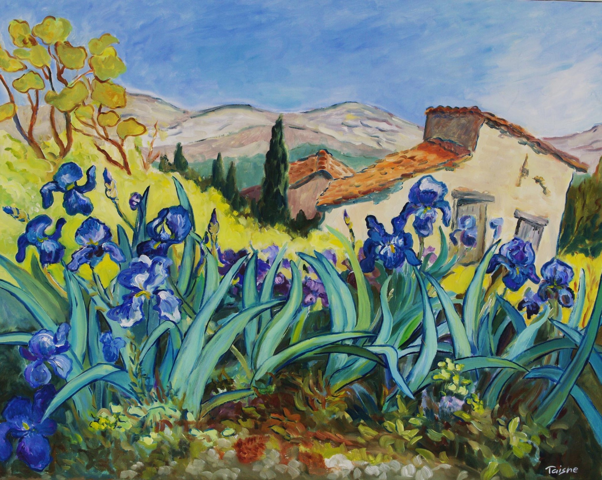 Les iris en Luberon 92x73