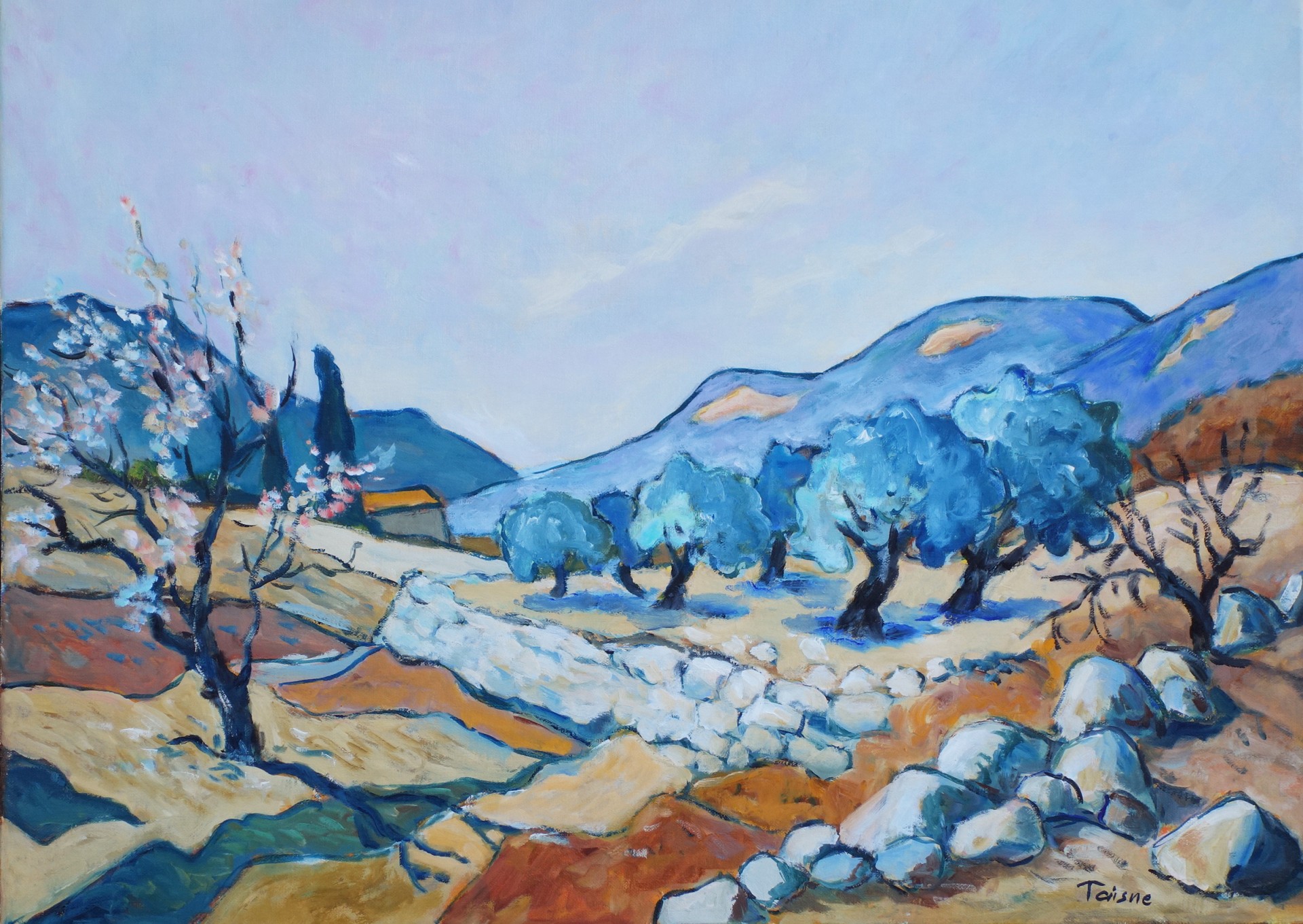 Les oliviers de Cotignac 65x50